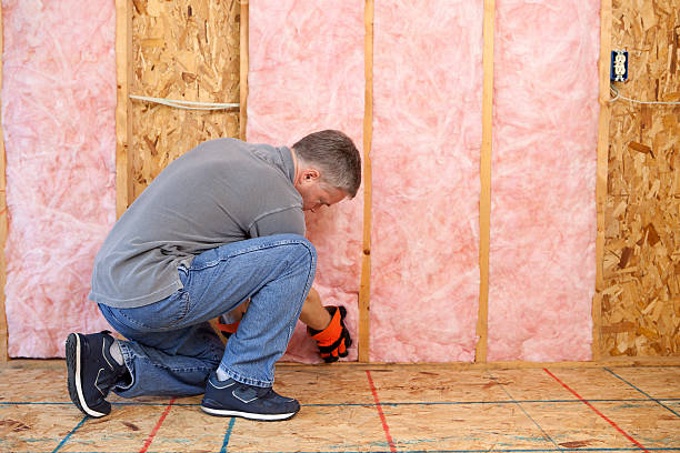 Best Insulation Installation Services in Decatur, TN